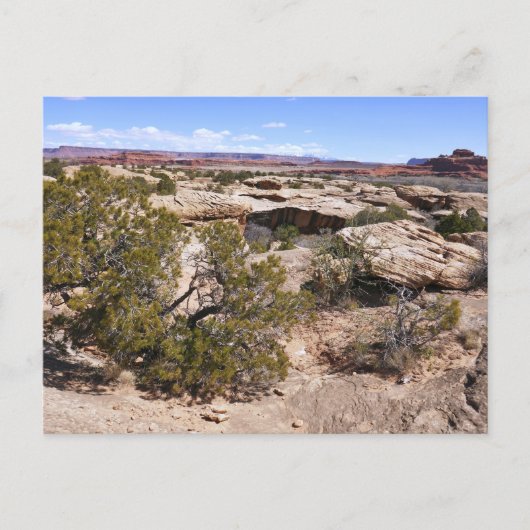 Canyonlands Uitzicht vanaf Cave Springs Trail Briefkaart (Voorkant)