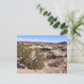 Canyonlands Uitzicht vanaf Cave Springs Trail Briefkaart (Staand voorkant)