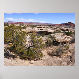 Canyonlands Uitzicht vanaf Cave Springs Trail Poster