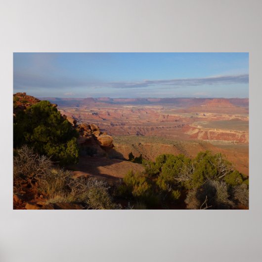 Canyonlands Uitzicht vanaf Grand View Point Trail Poster (Voorkant)