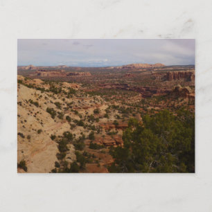 Canyonlands Uitzicht vanaf Neck Springs Trail Briefkaart