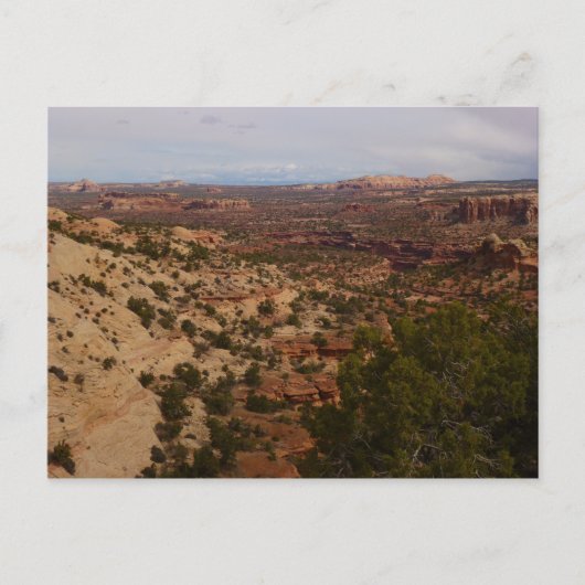Canyonlands Uitzicht vanaf Neck Springs Trail Briefkaart (Voorkant)