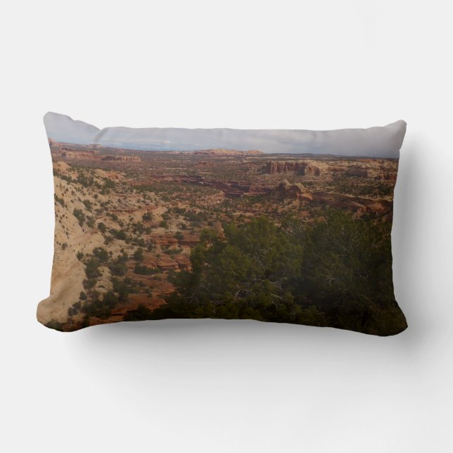 Canyonlands uitzicht vanaf Neck Springs Trail Kussen (Voorkant)