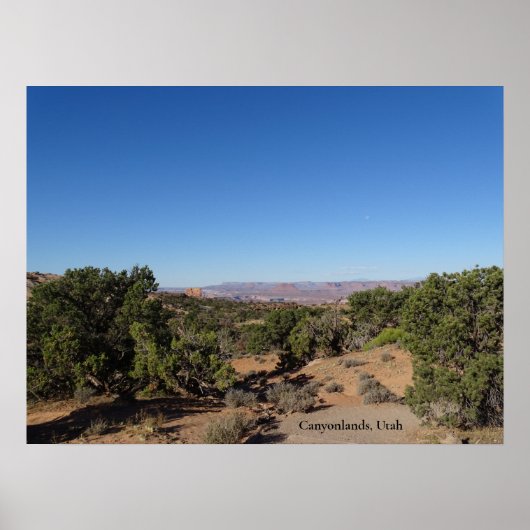 Canyonlands, Utah Poster (Voorkant)