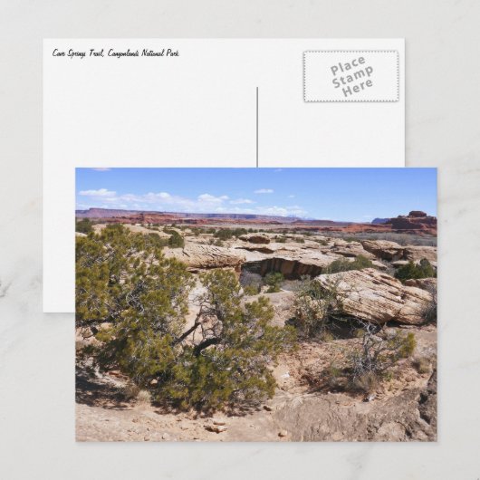 Canyonlands View from Cave Springs Trail Briefkaart (Voorkant / Achterkant)