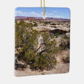 Canyonlands View from Cave Springs Trail Keramisch Ornament (Rechts)