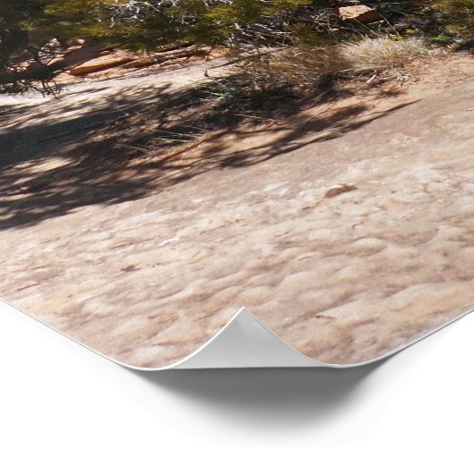 Canyonlands View from Cave Springs Trail Poster (Hoek)