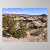Canyonlands View from Cave Springs Trail Poster (Voorkant)