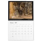 Canyonscapes Agenda 2022 Kalender (Feb 2027)