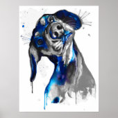 Cão em Azul Poster (Voorkant)