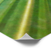 capa de pamonha poster (Hoek)