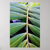 capa de pamonha poster (Voorkant)