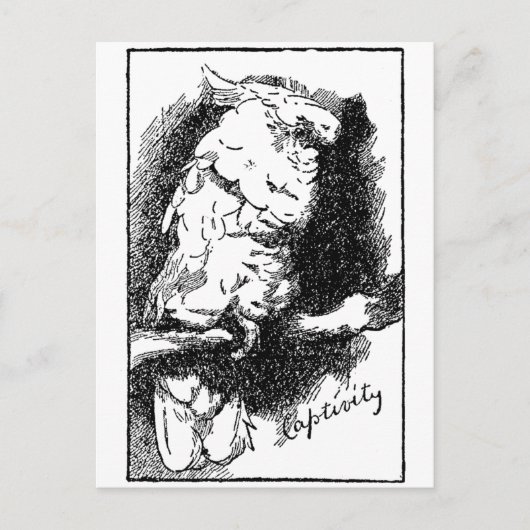Capaciteit Briefkaart (Voorkant)