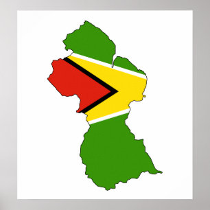 Capaciteitsgrootte vlag Guyana Poster