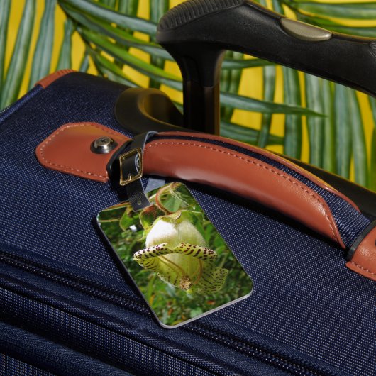 Capanea grandiflora bagagelabel (Voorkant Insitu 1)