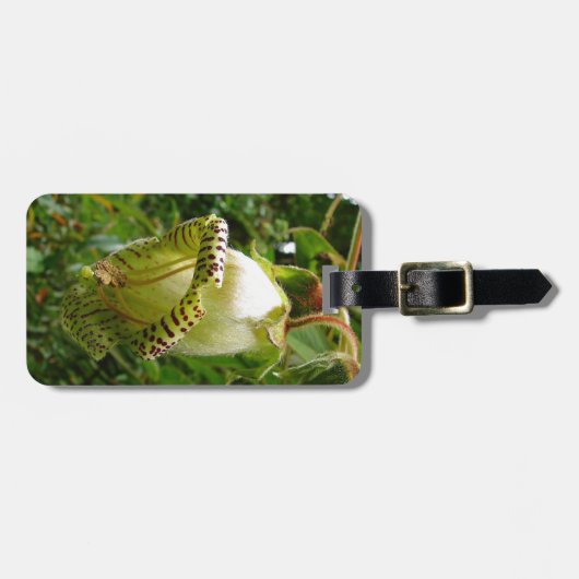 Capanea grandiflora bagagelabel (Voorkant horizontaal)