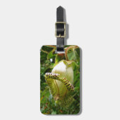 Capanea grandiflora bagagelabel (Voorkant verticaal)