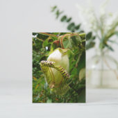 Capanea grandiflora briefkaart (Staand voorkant)