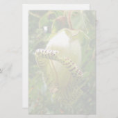 Capanea grandiflora briefpapier (Voorkant / Achterkant)