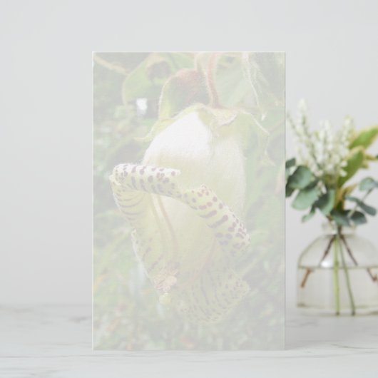 Capanea grandiflora briefpapier (Staand voorkant)