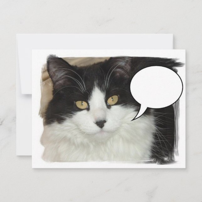 Capated Cat (Voorkant)