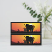 Cape Buffalo Book Markers Briefkaart (Staand voorkant)