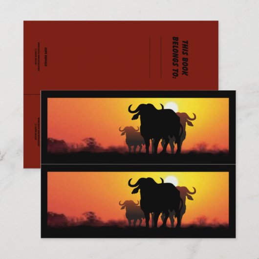 Cape Buffalo Book Markers Briefkaart (Voorkant / Achterkant)