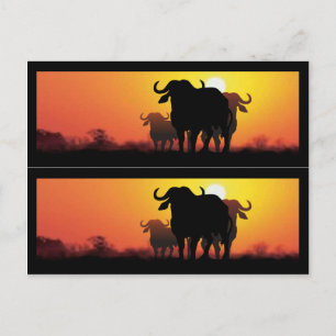 Cape Buffalo Book Markers Briefkaart