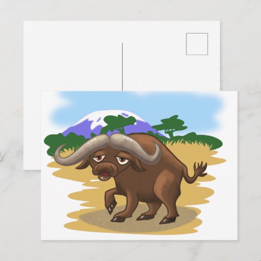 Cape Buffalo Briefkaart (Voorkant / Achterkant)