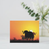 Cape Buffalo Briefkaart (Staand voorkant)