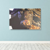 Cape Buffalo Canvas Afdruk (Insitu (Houten vloer))