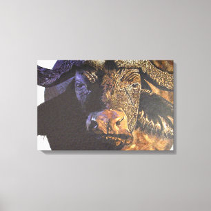 Cape Buffalo Canvas Afdruk