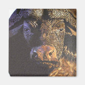 Cape Buffalo Magneet (Voorkant)