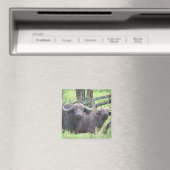 cape buffalo magneet (Insitu (Vaatwasser))