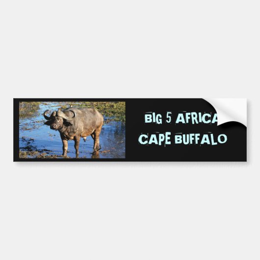 Cape Buffalo safari groot 5 bumperstickers (Voorkant)