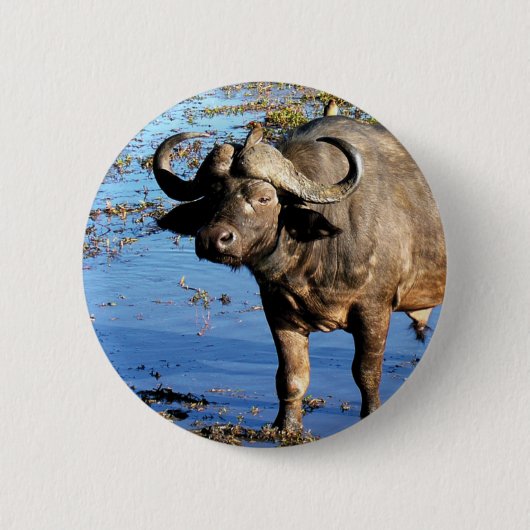 Cape Buffalo safari, groot 5 knoppen en pennen Ronde Button 5,7 Cm (Voorkant)