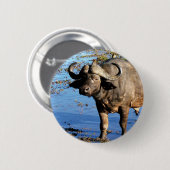 Cape Buffalo safari, groot 5 knoppen en pennen Ronde Button 5,7 Cm (Voorkant /achterkant)