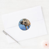 Cape Buffalo safari groot 5 stickers (Envelop)