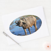 Cape Buffalo safari groot 5 stickers (Envelop)