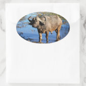 Cape Buffalo safari groot 5 stickers (Tas)