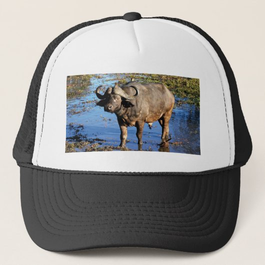 Cape Buffalo safari petten en petten (Voorkant)