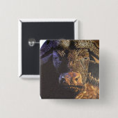 Cape Buffalo Vierkante Button 5,1 Cm (Voorkant /achterkant)