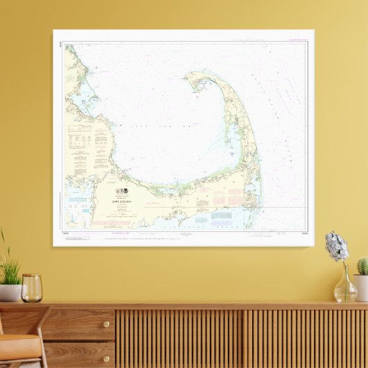 Cape Cod Bay nautische kaart 13246 Canvas Afdruk (Insitu (Woonkamer))