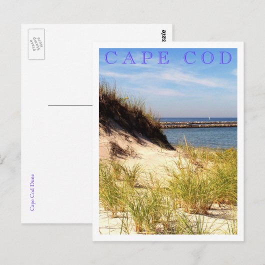 Cape Cod Dune Briefkaart (Voorkant / Achterkant)
