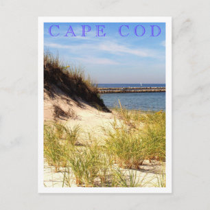 Cape Cod Dune Briefkaart