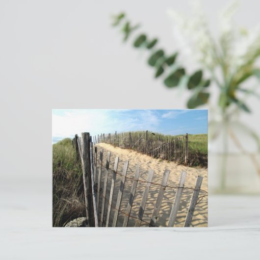 Cape Cod Dunes Briefkaart (Staand voorkant)
