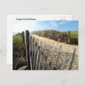 Cape Cod Dunes Briefkaart (Voorkant / Achterkant)