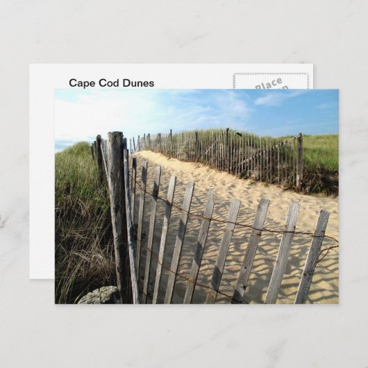 Cape Cod Dunes Briefkaart (Voorkant / Achterkant)