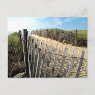 Cape Cod Dunes Briefkaart