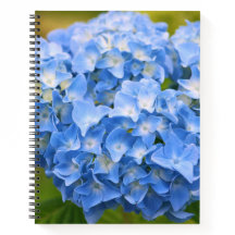 CAPE COD HYDRANGEA NOTITIEBOEK